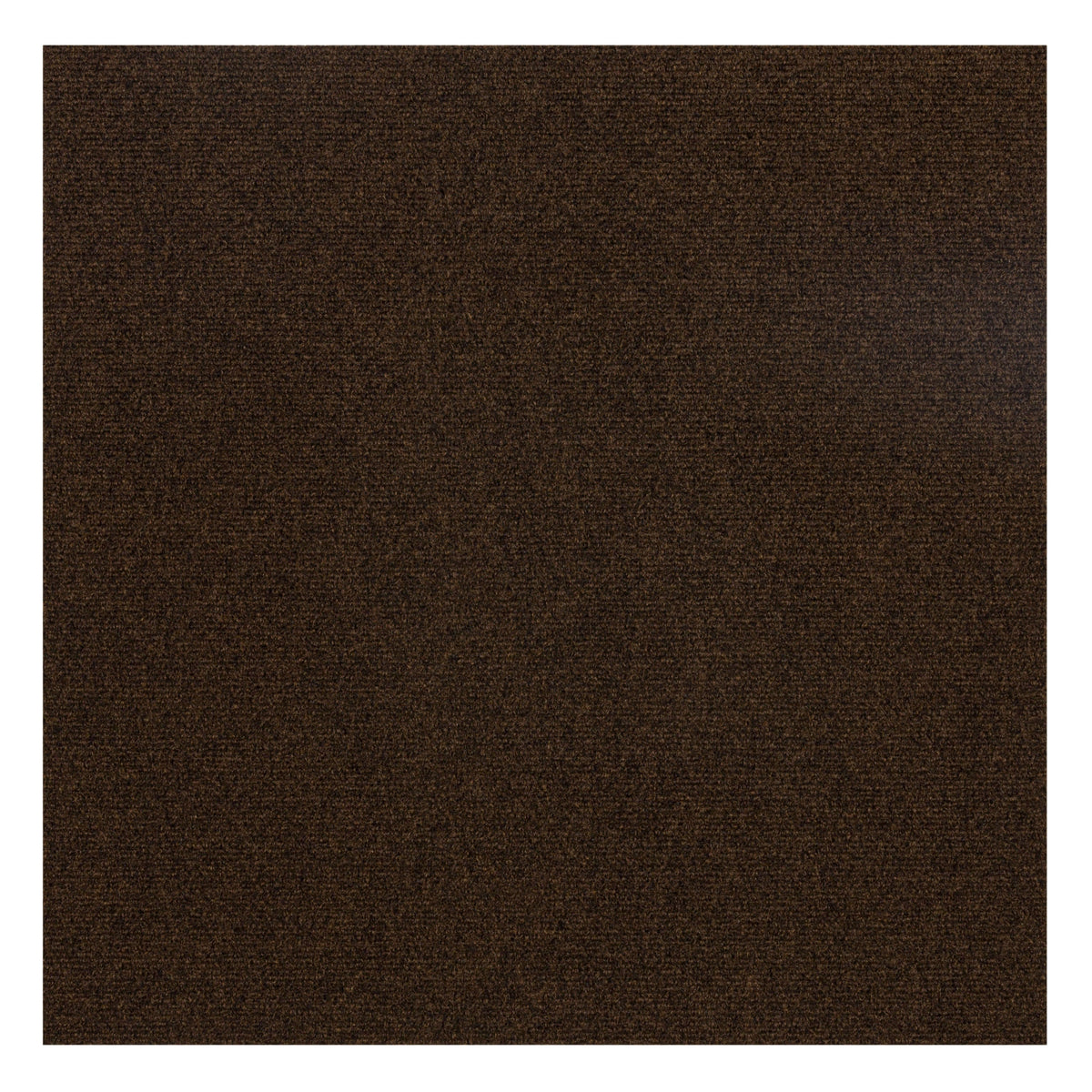2' X 2'