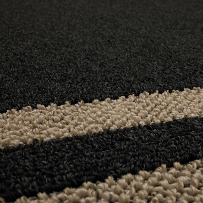 Aiden Sisal Near Black/Tan Area Rug