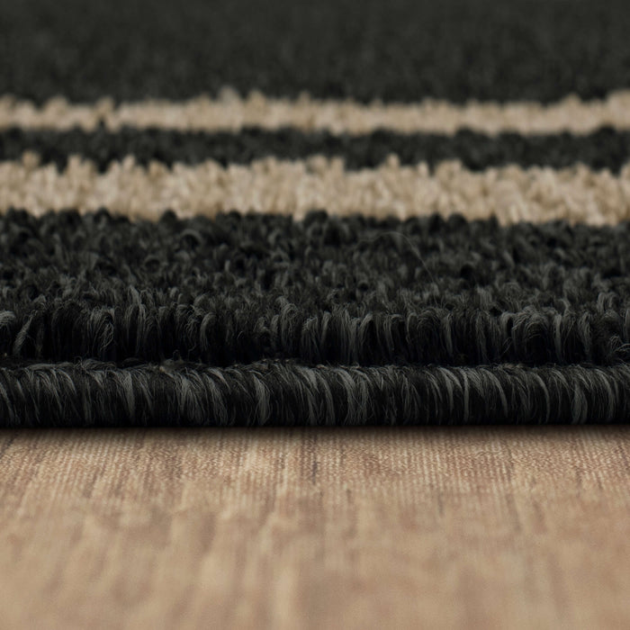 Aiden Sisal Near Black/Tan Area Rug