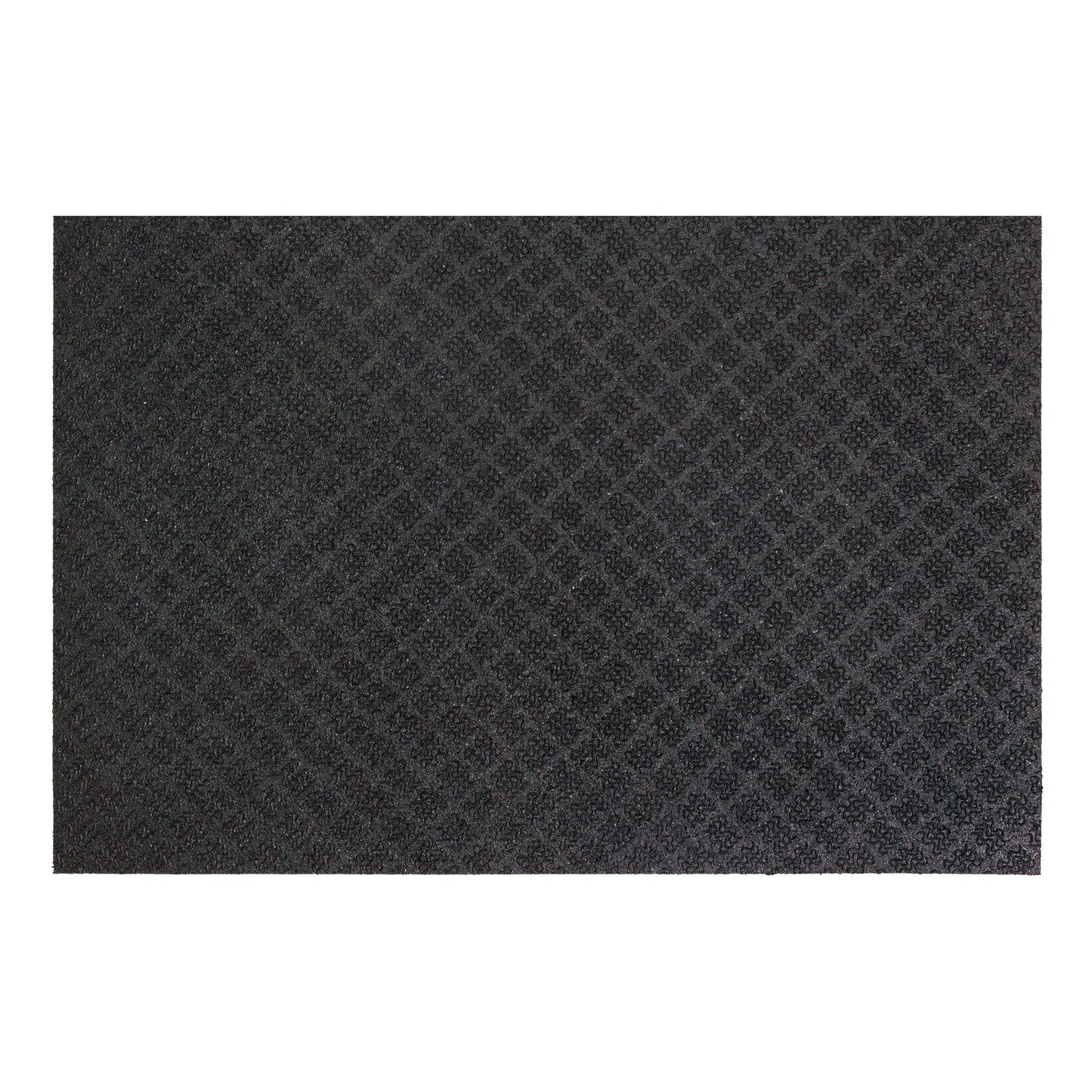 2' X 3'