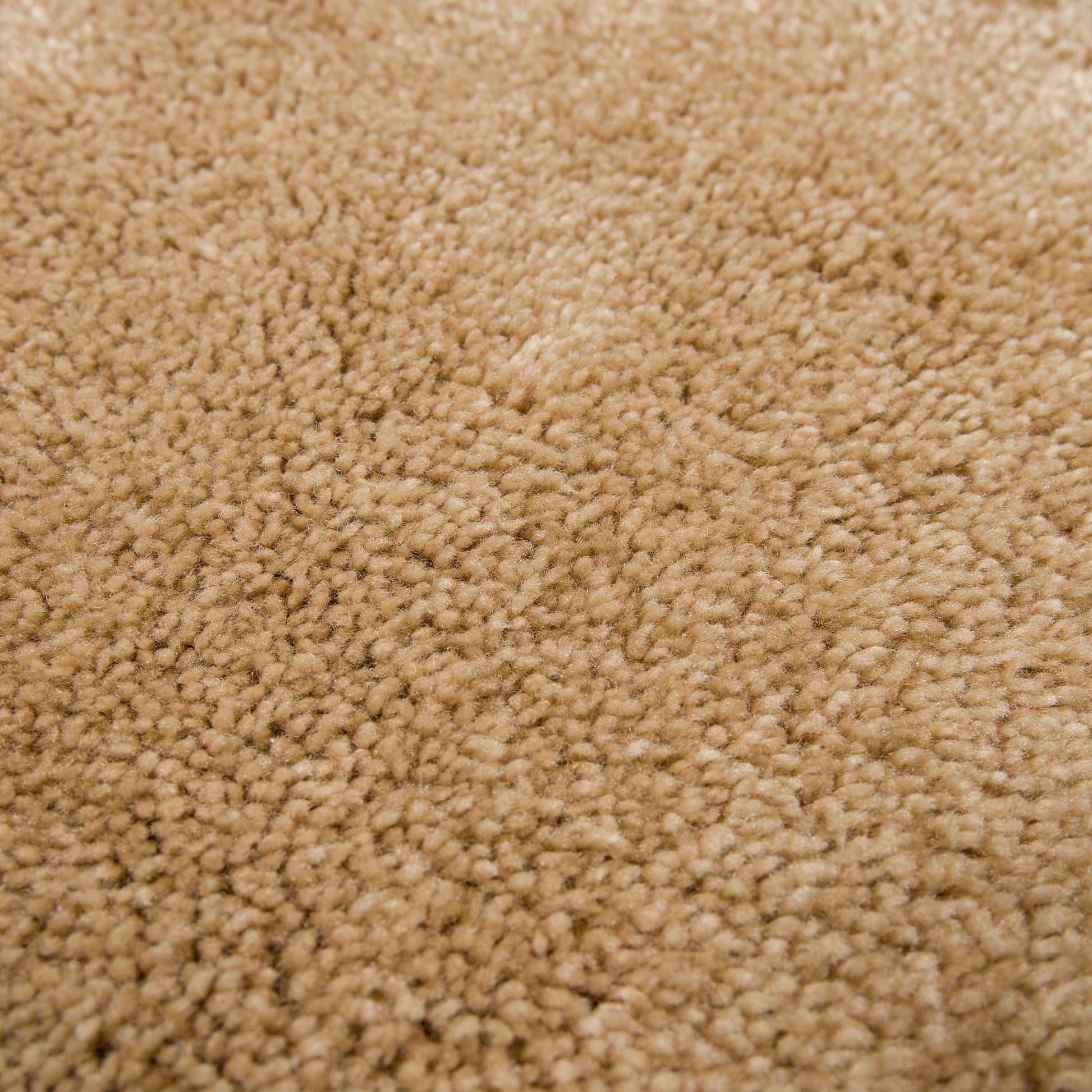 Fiber