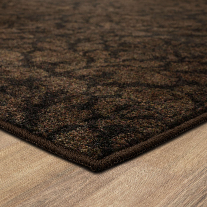 Technicolor Damask Brown Area Rug