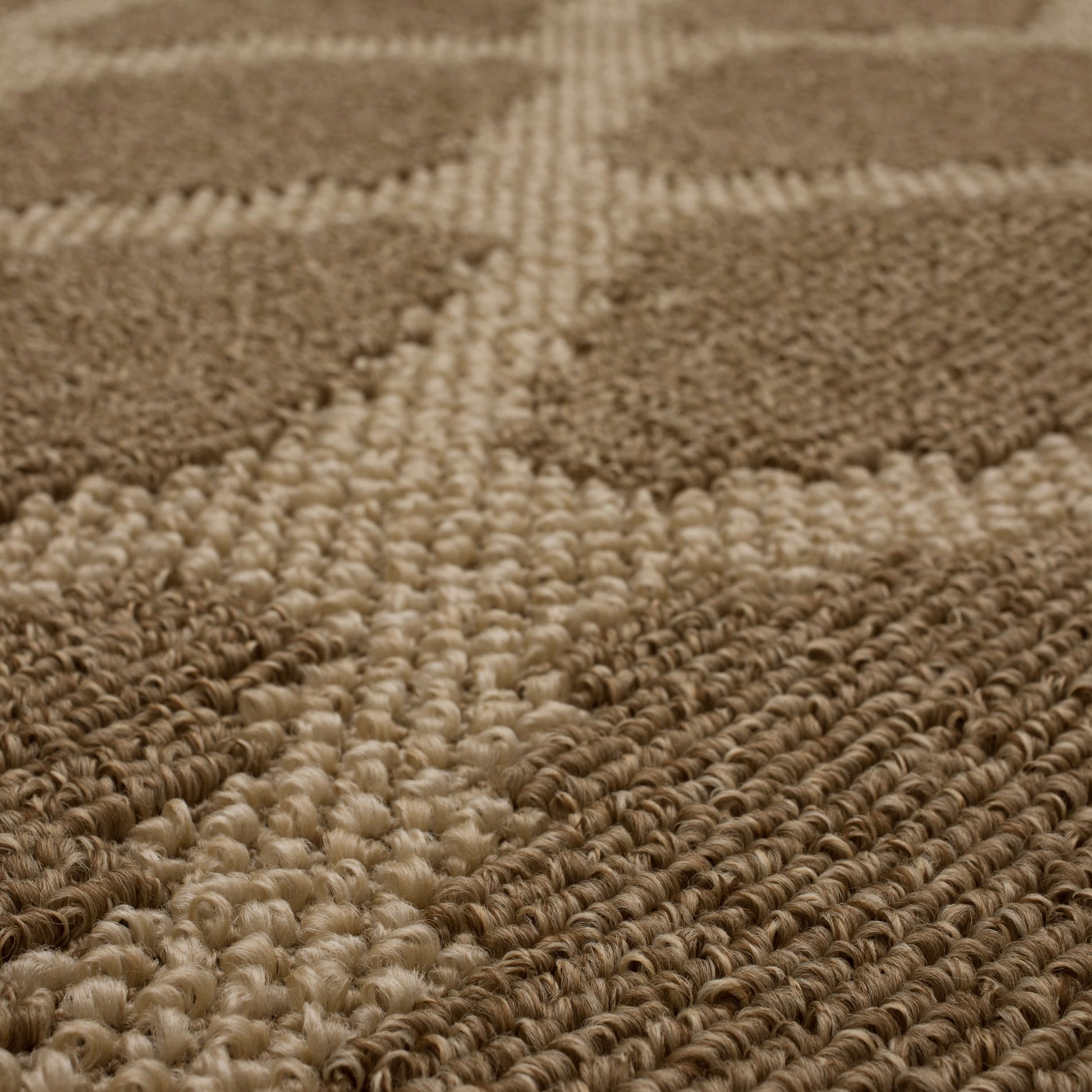 Fiber