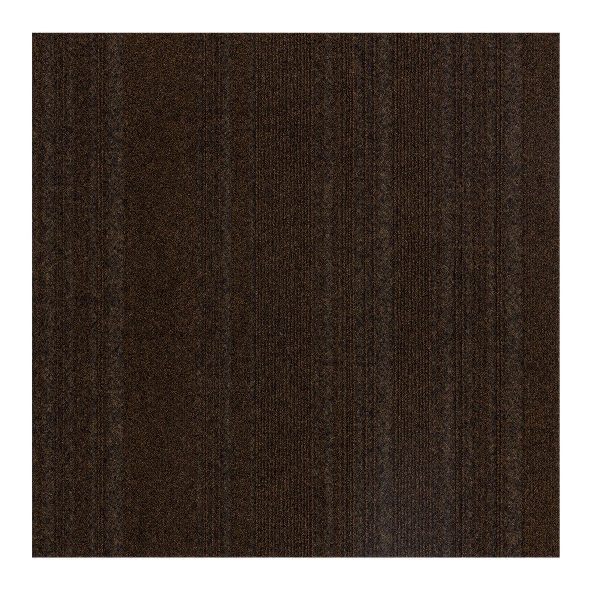 2' X 2'
