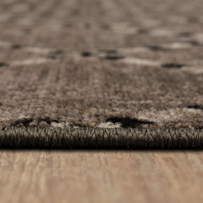 Kauai Aisha Brown & Gray Area Rug