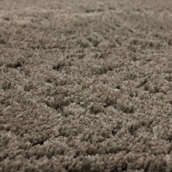 Chateau Sydney Gray Area Rug