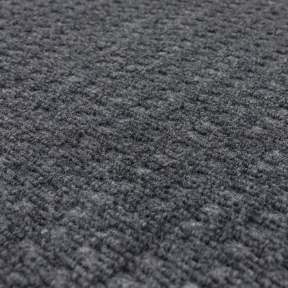 Fiber