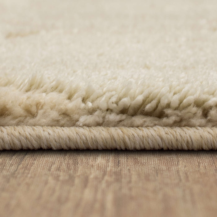 Brizo Topanga White Area Rug