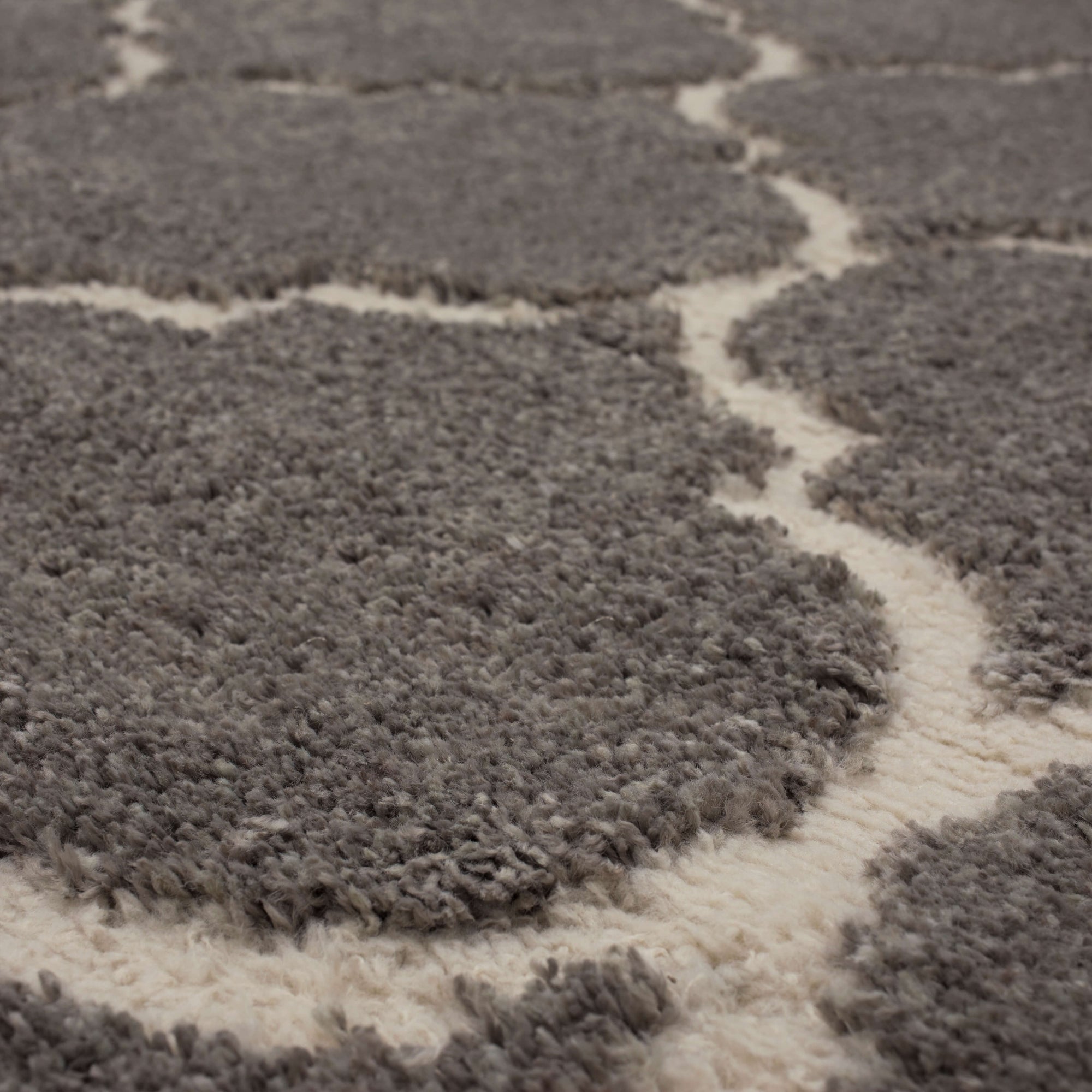 Brizo Topanga Gray Area Rug Covered By Rugs