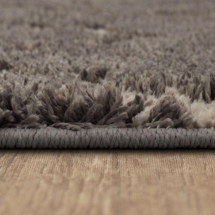 Brizo Topanga Gray Area Rug