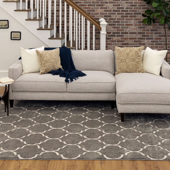 Brizo Topanga Gray Area Rug