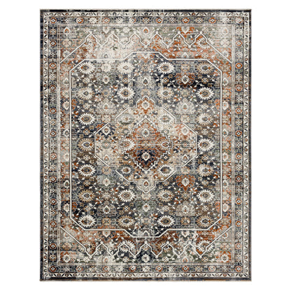 Remiann Grey Area Rug