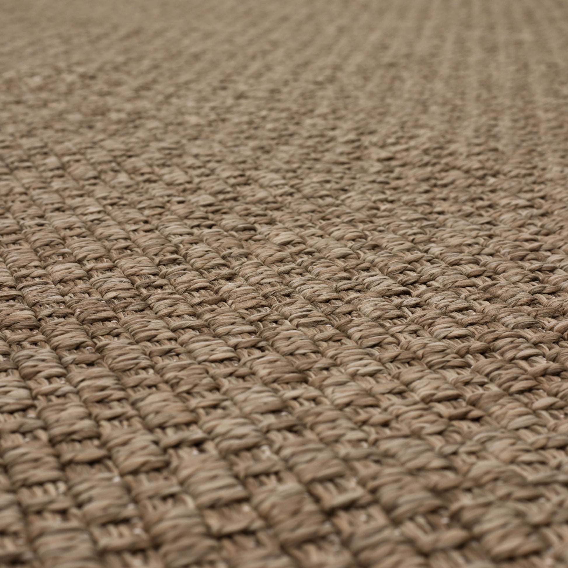 Fiber