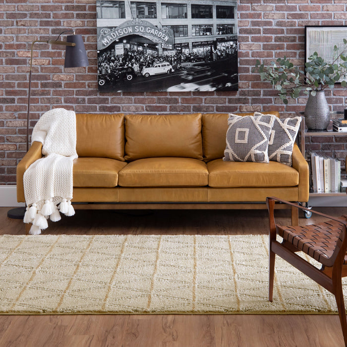 Chateau Ross White & Gray Area Rug