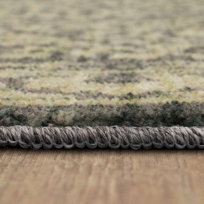 Technicolor Aberdeen Gray Area Rug