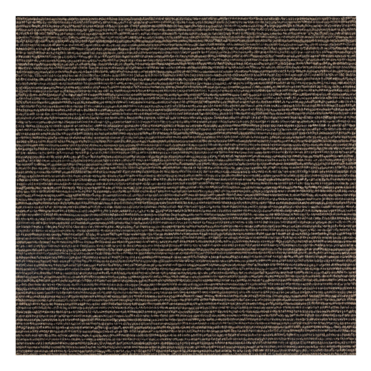 2' X 2'
