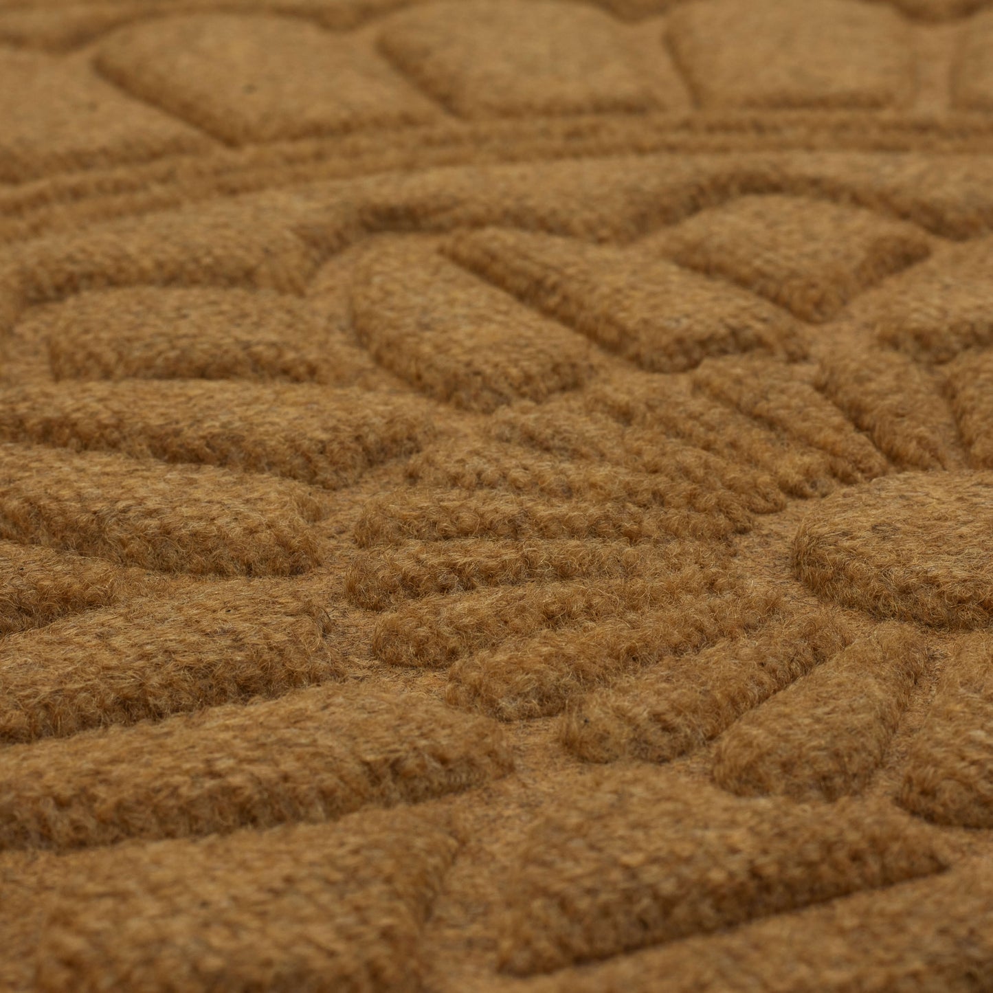 Closeup