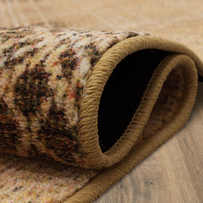 Technicolor Hoover Brown Area Rug
