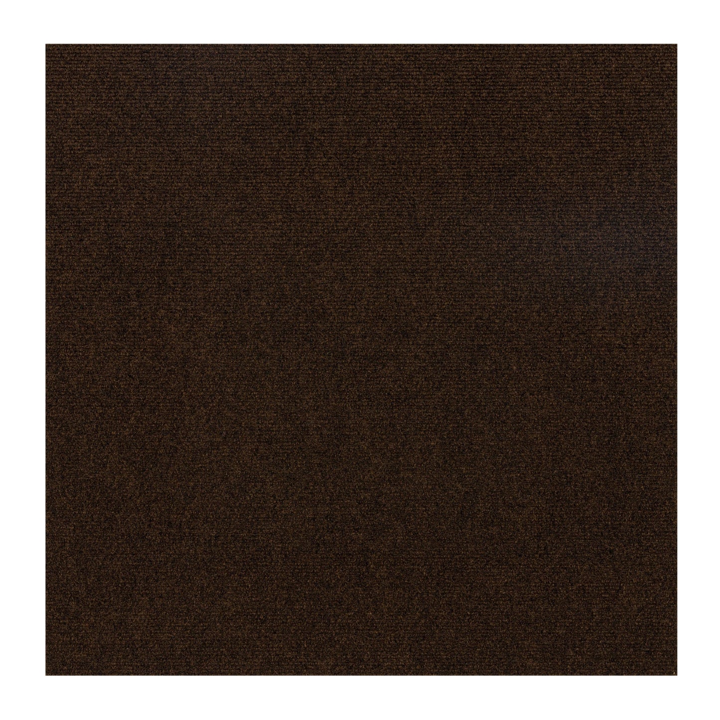 2' X 2'