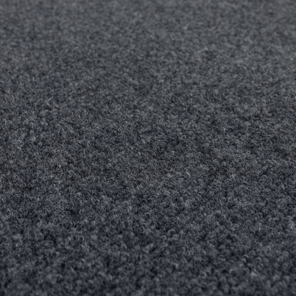 Fiber