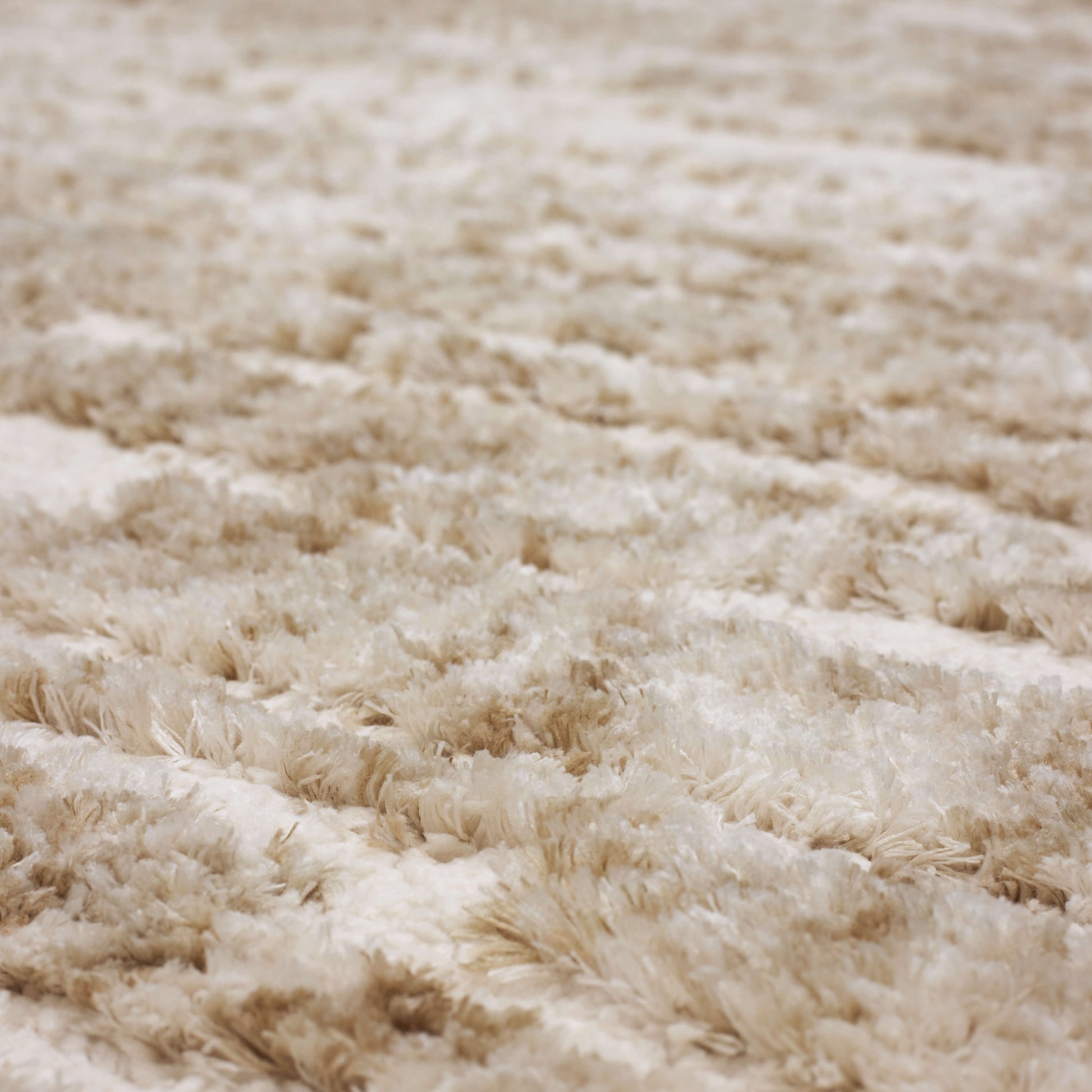 Fiber