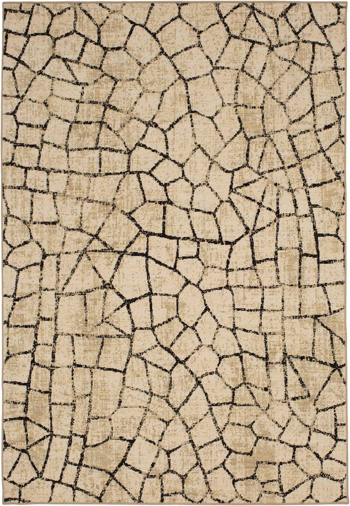Area Rug