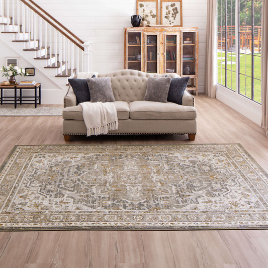 Alexandra Frost Grey Area Rug