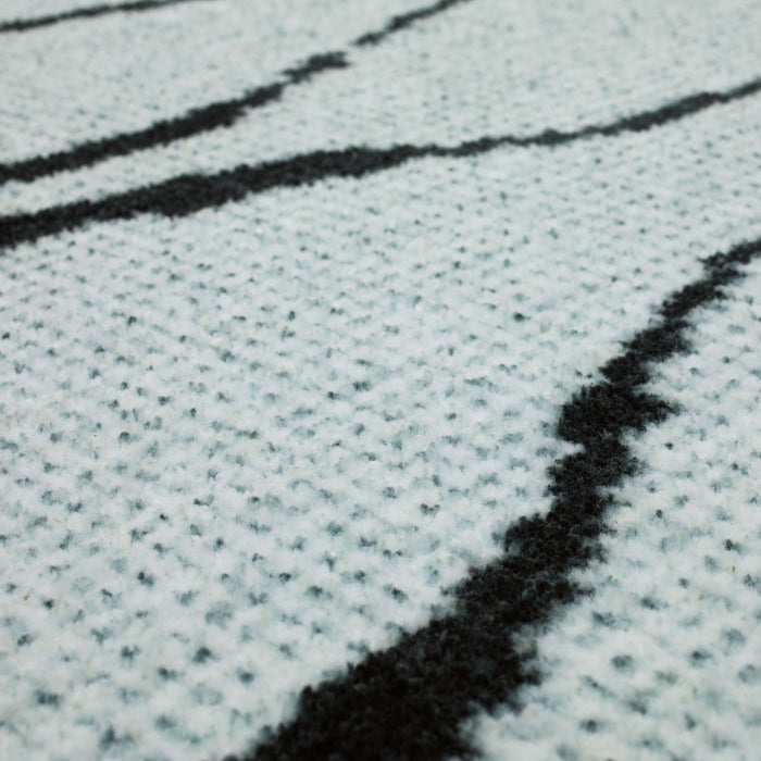 Technicolor Aster Black Area Rug