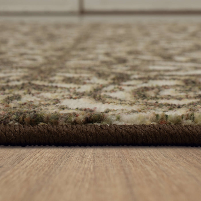 Technicolor Bakersfield Brown Area Rug
