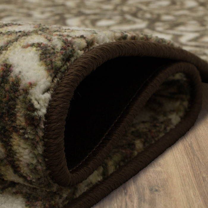 Technicolor Bakersfield Brown Area Rug