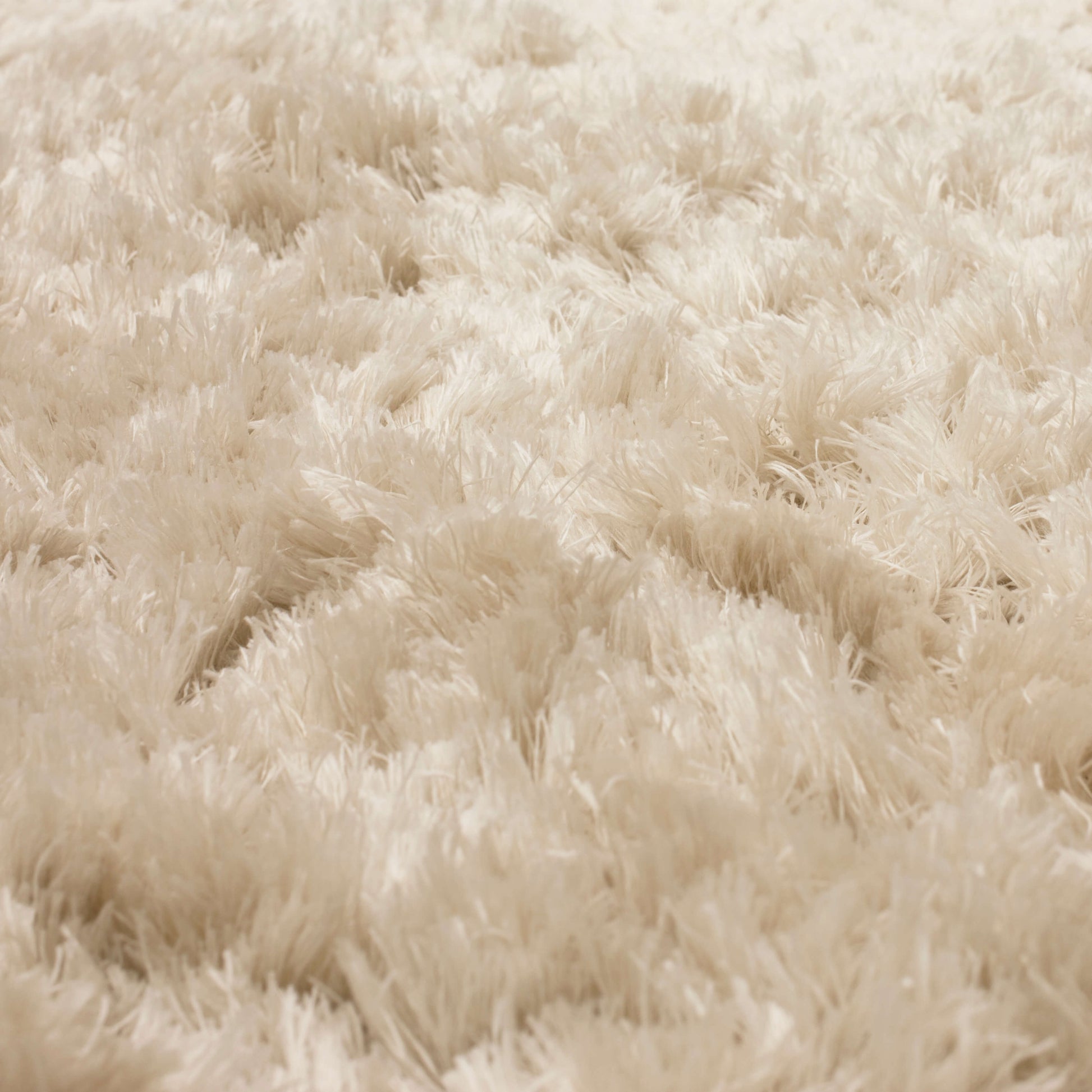Fiber