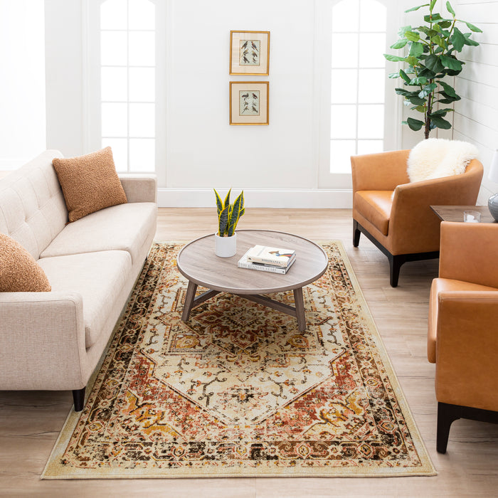 Denver Multicolor Area Rug