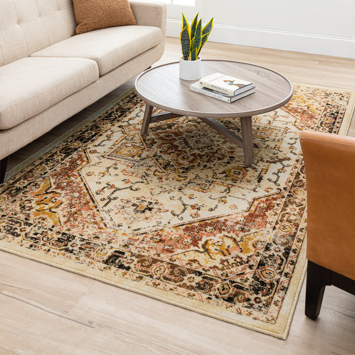 Denver Multicolor Area Rug