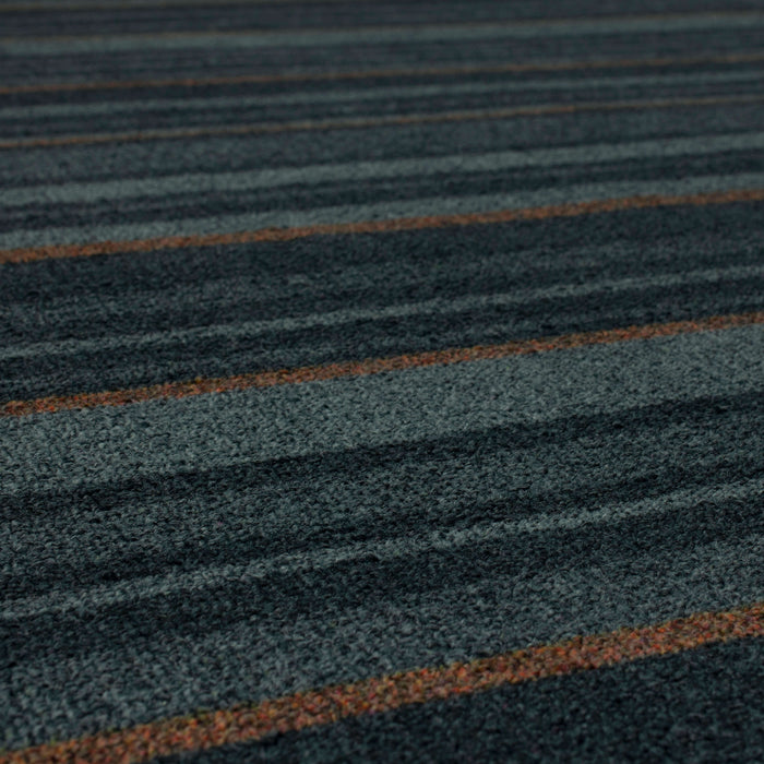 Suelle Black Area Rug