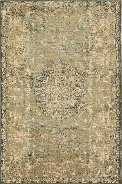 Karastan Titanium Floret Seaglass Area Rug by Patina Vie