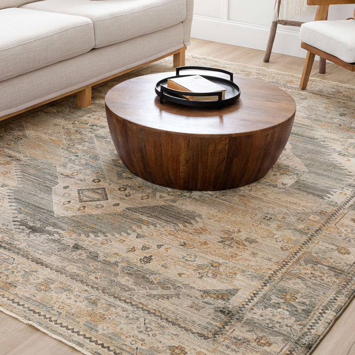 Karastan Echo Gamin Grey Area Rug