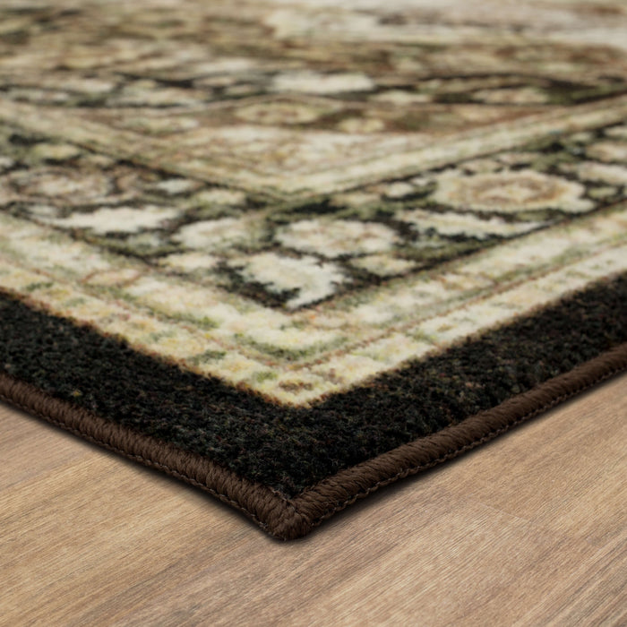 Technicolor Ashley Chocolate Area Rug