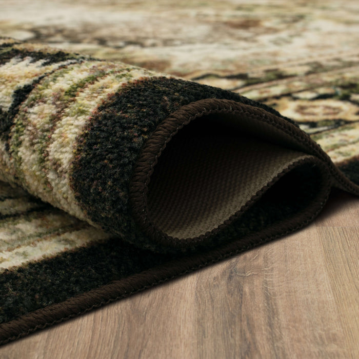 Technicolor Ashley Chocolate Area Rug