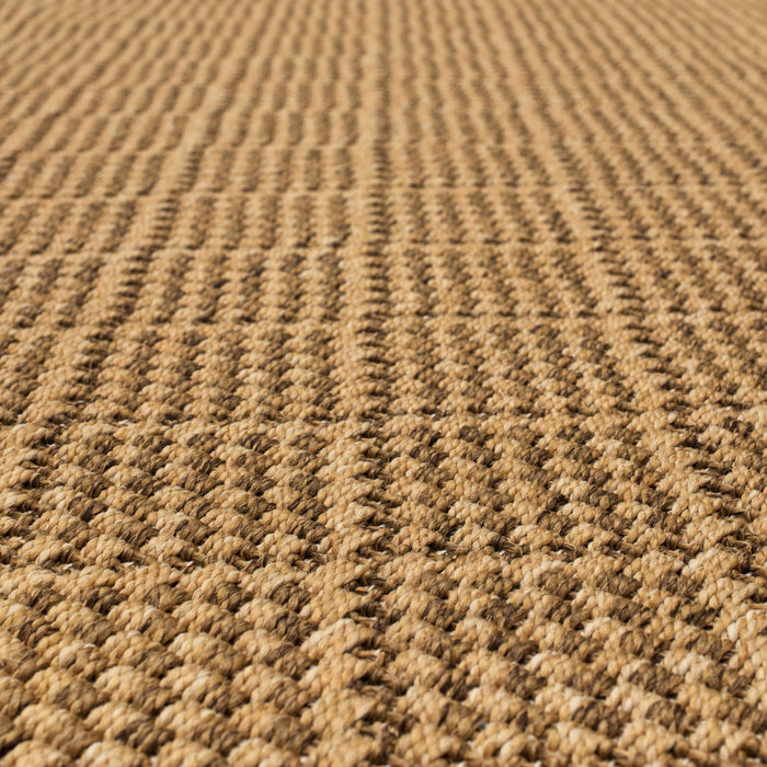 Fiber