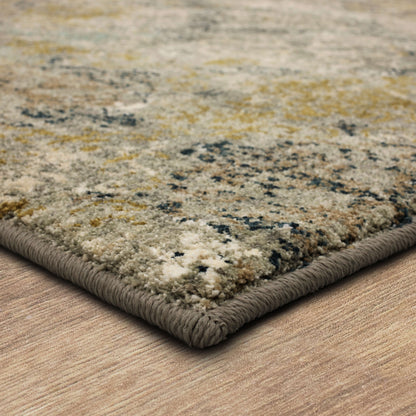 Karastan Touchstone Moy Willow Grey Area Rug