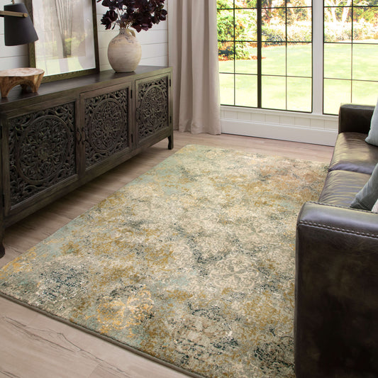 Karastan Touchstone Moy Willow Grey Area Rug