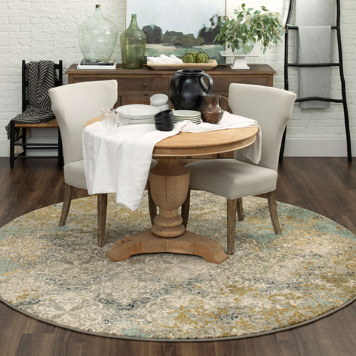 Karastan Touchstone Moy Willow Grey Area Rug