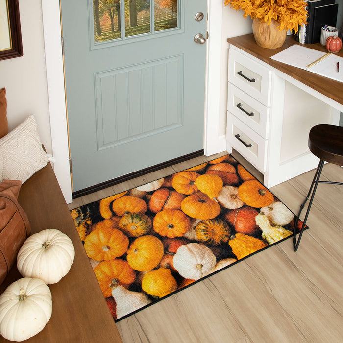 Multi Color Gourds Accent Rug
