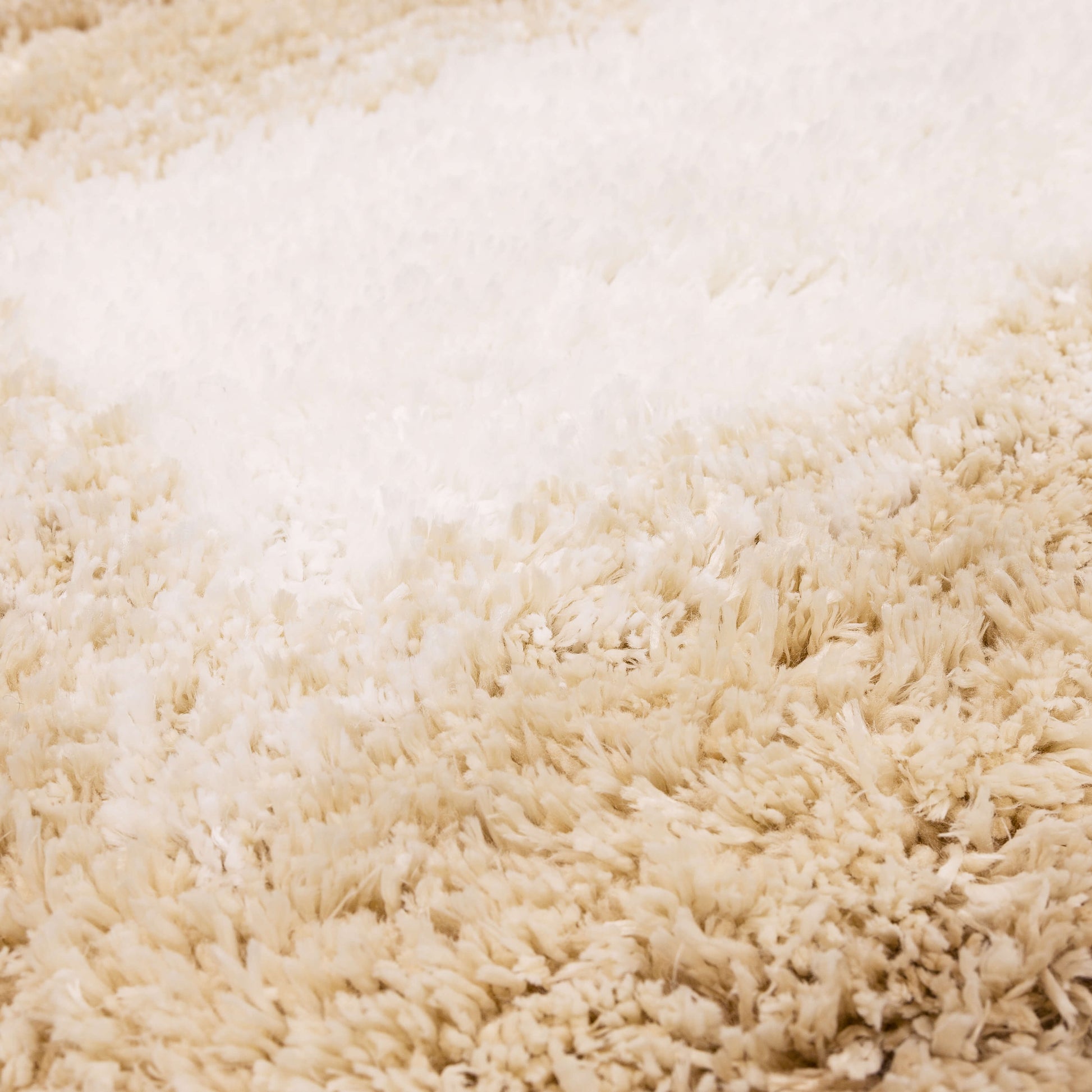 Fiber
