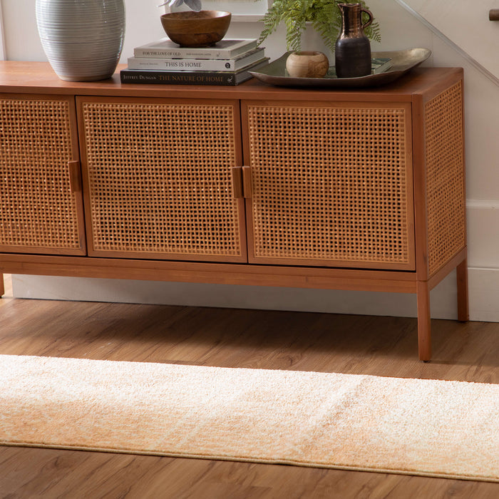 Technicolor Quemado Blush Area Rug