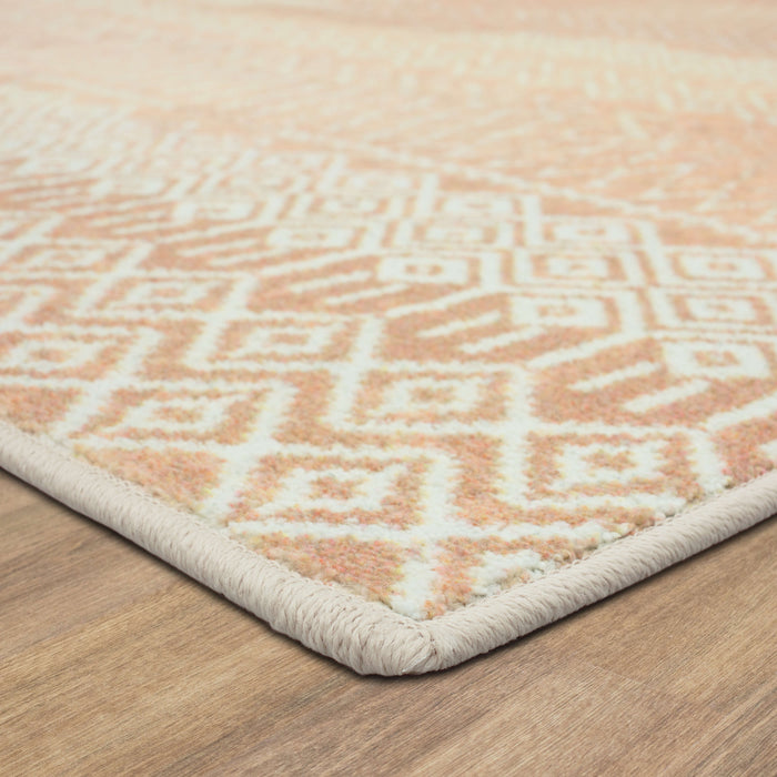 Technicolor Quemado Blush Area Rug