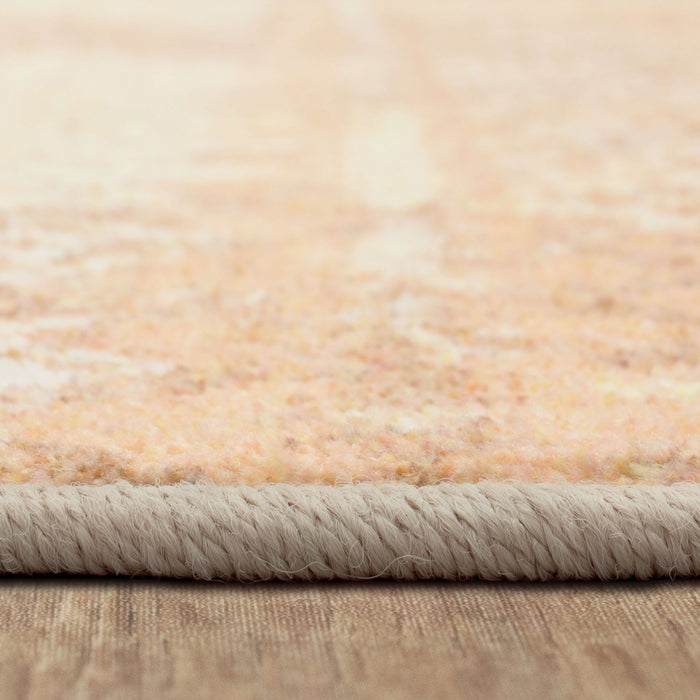 Technicolor Quemado Blush Area Rug