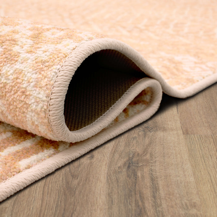 Technicolor Quemado Blush Area Rug