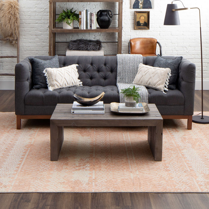 Technicolor Quemado Blush Area Rug