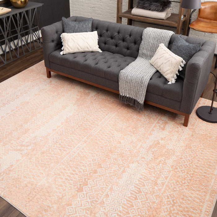 Technicolor Quemado Blush Area Rug